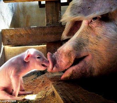 46996_543867035647936_1579366612_n