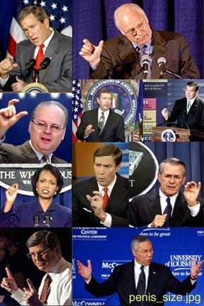 penis_size